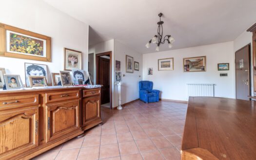 GUIDONIA CAMIONABILE, TRILOCALE CON ASCENSORE